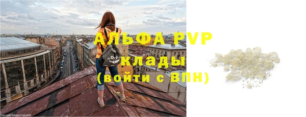 прущие грибы Кинешма