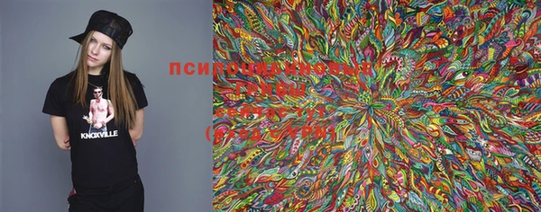 хмурый Киреевск