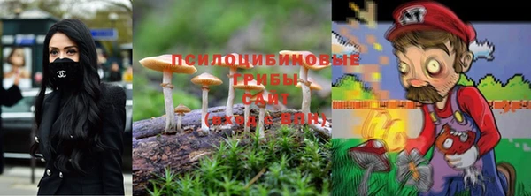 прущие грибы Кинешма