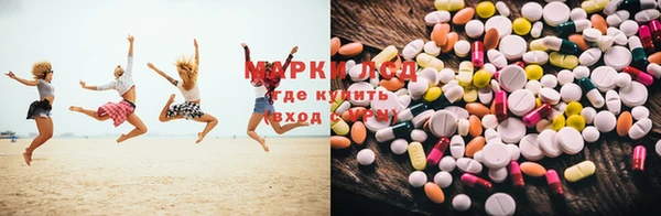 прущие грибы Кинешма