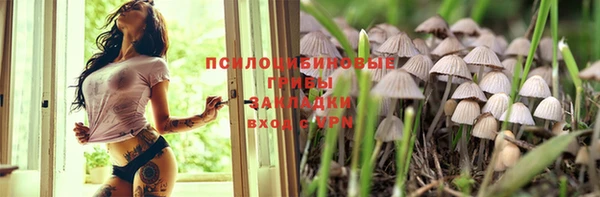 прущие крисы Карпинск