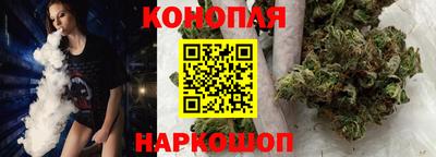мдпв Гатчина