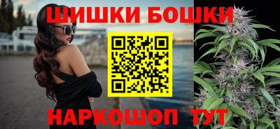 мдпв Гатчина