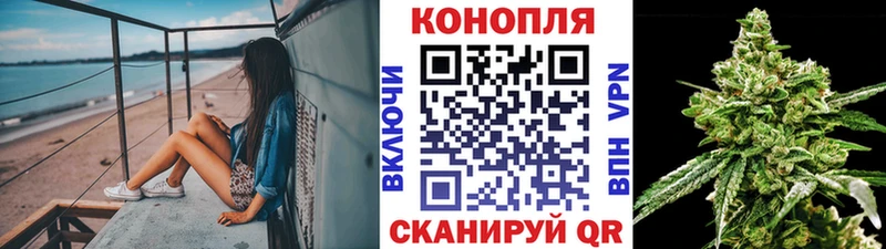 Бошки Шишки индика  Карпинск 